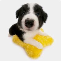 Si me sigues te sigo