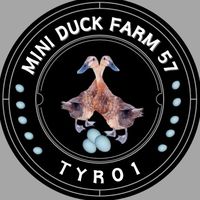 mini_duck_farm.57