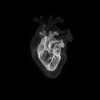 pollito_de_colores26_a