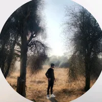 original sound - virals__mems