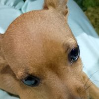 naturezamotivacinalofc