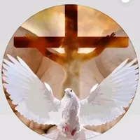 original sound - pedro__tojin