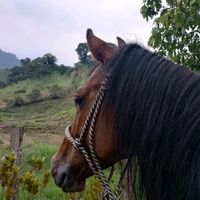 juanjo8857