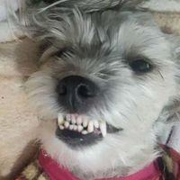 luninha.lindaaa