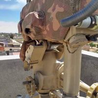 الصوت الأصلي