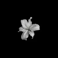 original sound - bloodmeny.fut