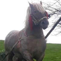 aaaaaaaaaaaaaaaaa1856