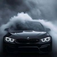 stealabrainrotsisthebest