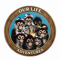 our_life_adventures