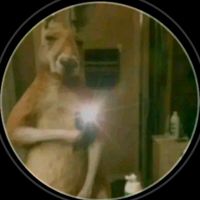 bros_peste_y_gost_face