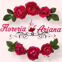 floreriaarianasicuani
