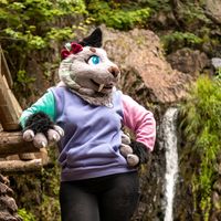 nova_fur
