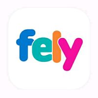 fely_saa2