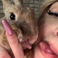 losowytiktok