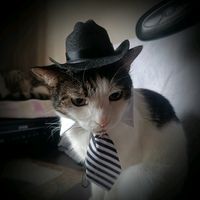 scp_administrator