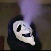 madalinavitan4