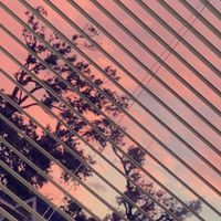 comment.recent.emojis