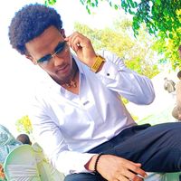muse2433