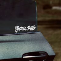 loneschizo