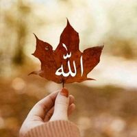 suara asli - 26 Agustus 🐥