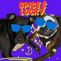 spice.lucky