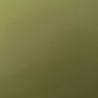 jadergonzlez8