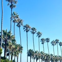 Evermore Live in Cincinnati