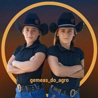 gemeas_do_agro