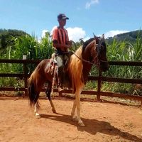 ofc_dela_21