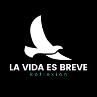 original sound - la_vida_es_breve