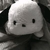 pochacco_okk