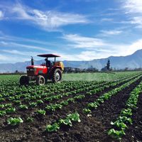 agricolasantaelbasolis