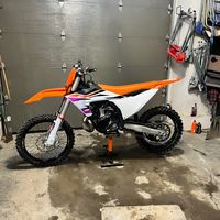 sx_rayden