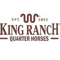 kingranchquarterhorse