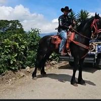 lopezcalexander