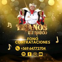 tejanosderauco