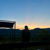 mfhoy
