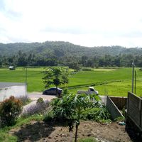 suara asli - Vian