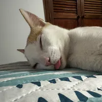 original sound - jeyemu