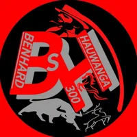 original sound - benhard.300