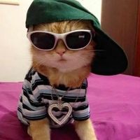 my feminist literature books