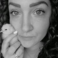 original sound