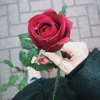 original sound - dilekk__52