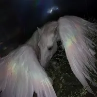 original sound - sschadlite