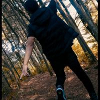 exercise_explorer
