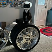 Playboi Carti unreleased