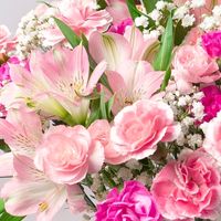 m_khatoon