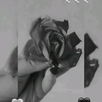 original sound - inspired_ange19