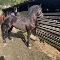 original sound - herodesdevillamarcela