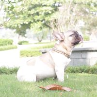 nhạc nền - DolaMin